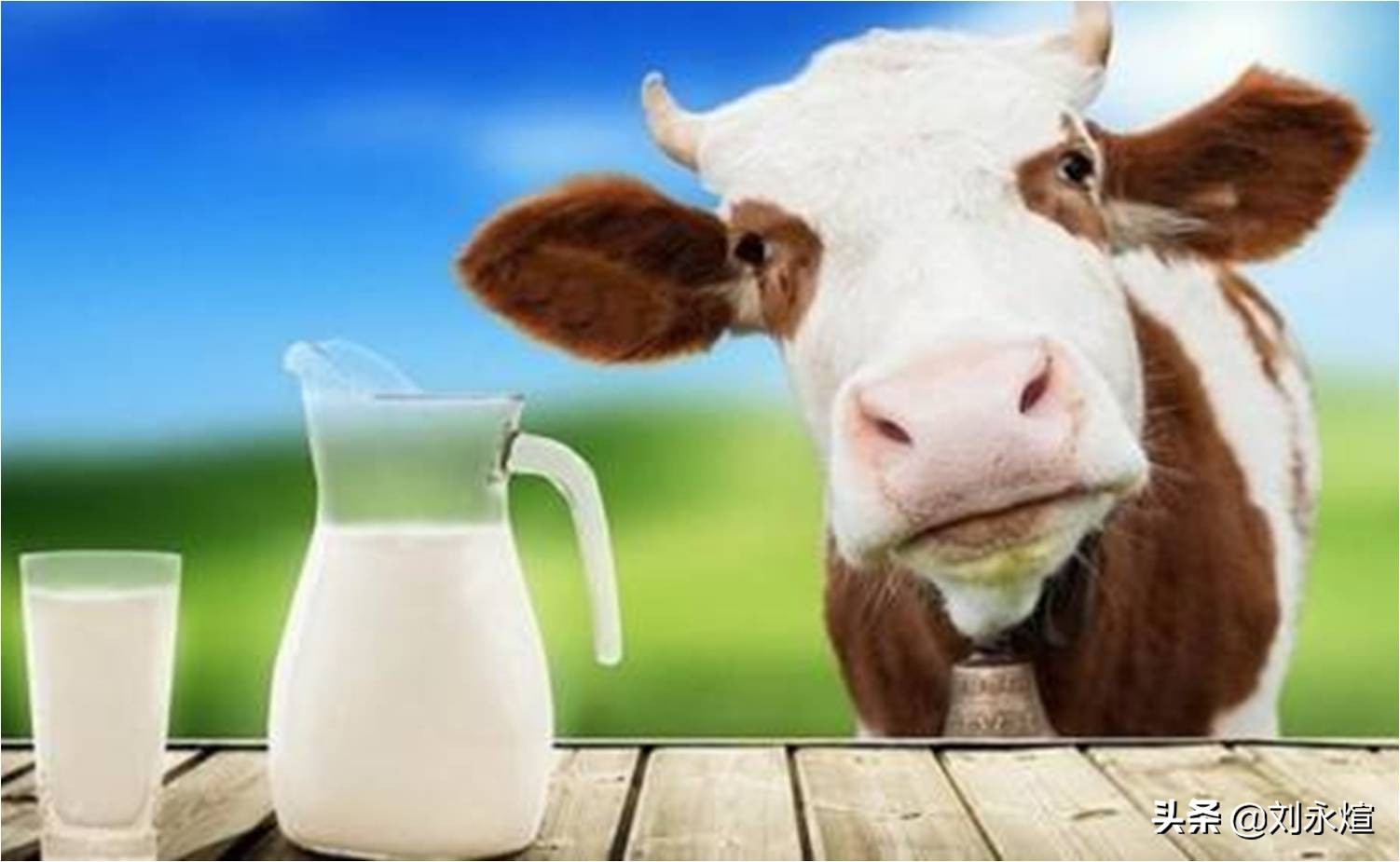 左手卖君乐宝，右手买贝拉米：蒙牛萌萌的千亿进阶逻辑