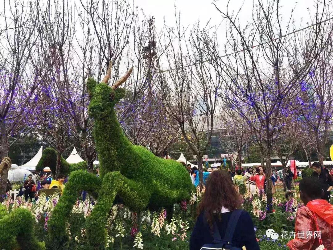 共赴盛会活动,香港国际花卉展