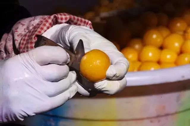 大理的一棵梅花,一棵大理梅品百味解千愁