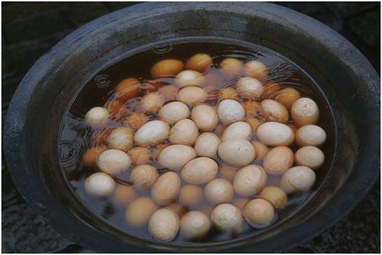 臭屁虫卖到450元一斤,臭屁虫能卖多少一斤