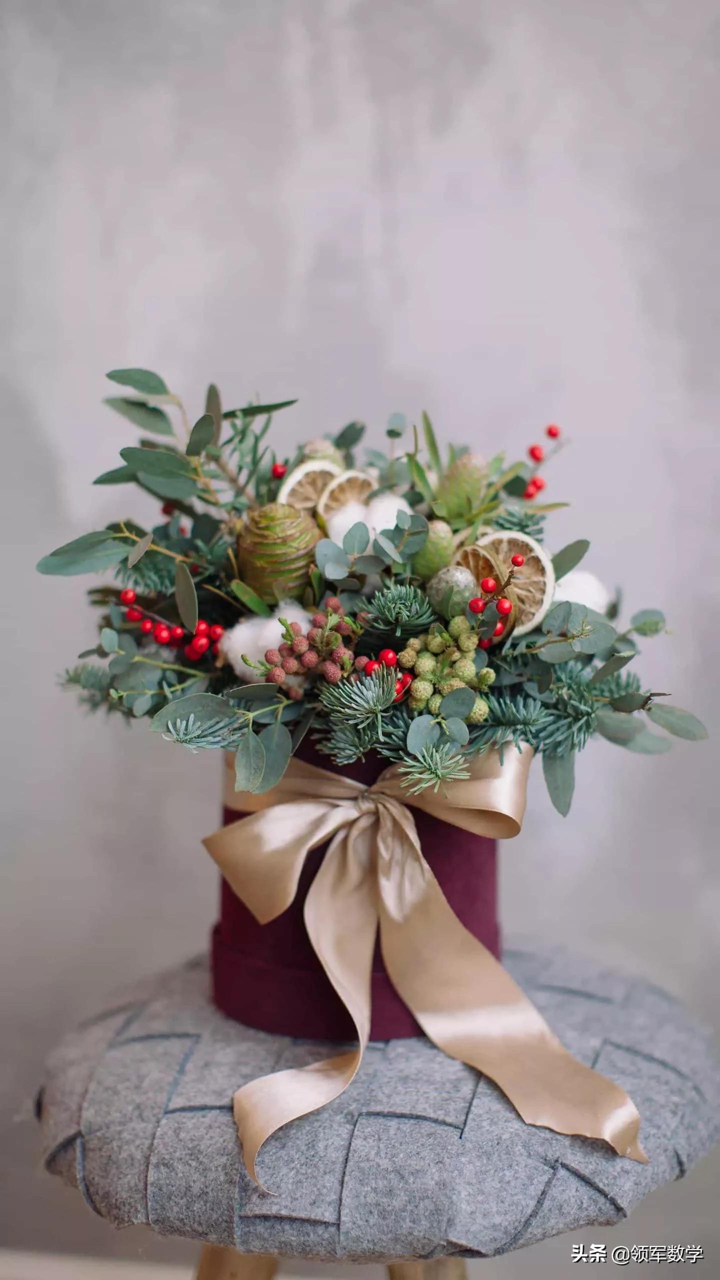 杨海玲,杨海玲讲座全集