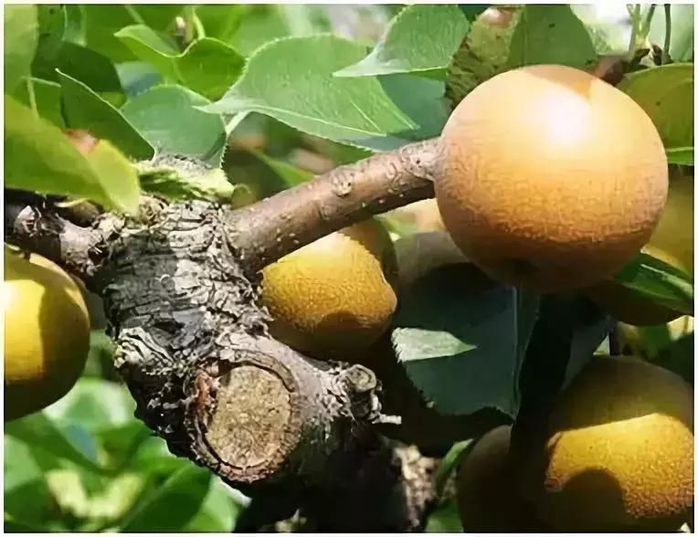 鹰潭好还是贵溪好,贵溪是一个怎样的地方