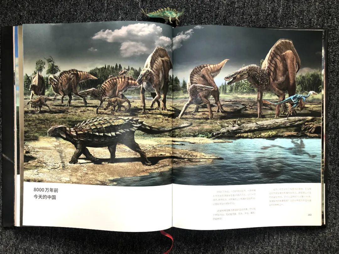 适合孩子看的恐龙科普书,适合5岁孩子看的恐龙科普书