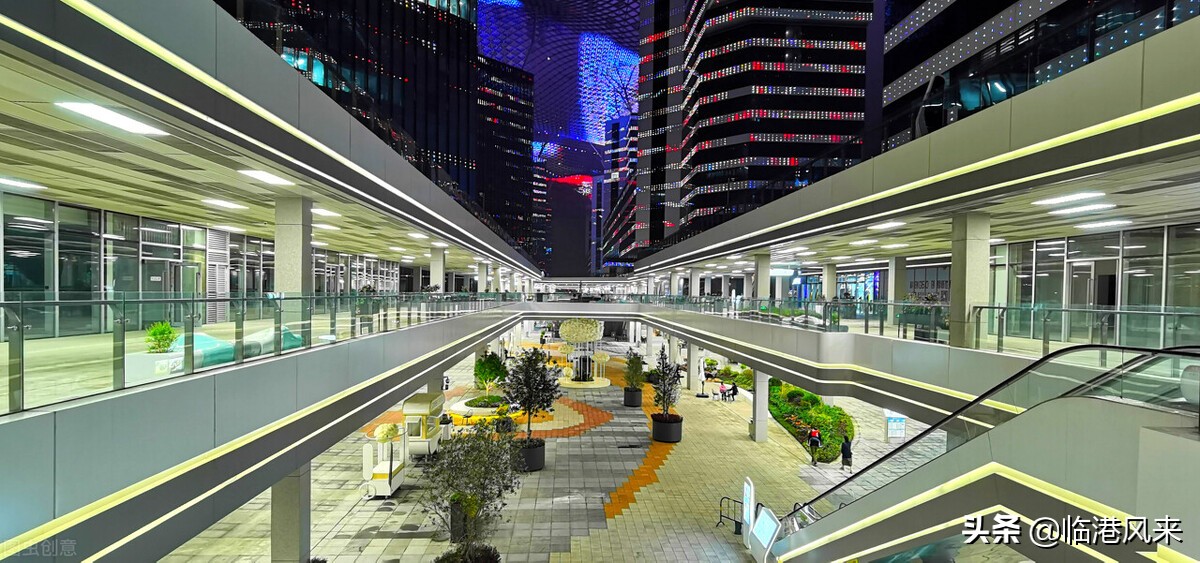 临港建平对口的小学,临港学区划分图