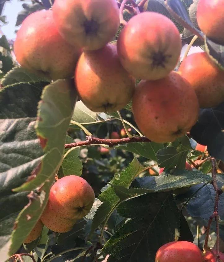 美文心阅免费阅读,美文心阅