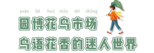 逛逛园博花鸟市场,园博花鸟市场攻略