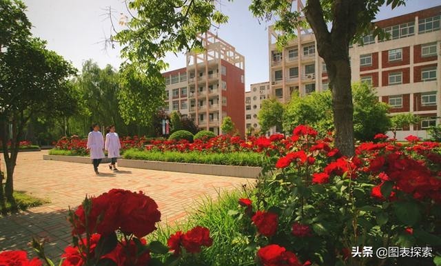 漯河医专全国第一,漯河医专2011届