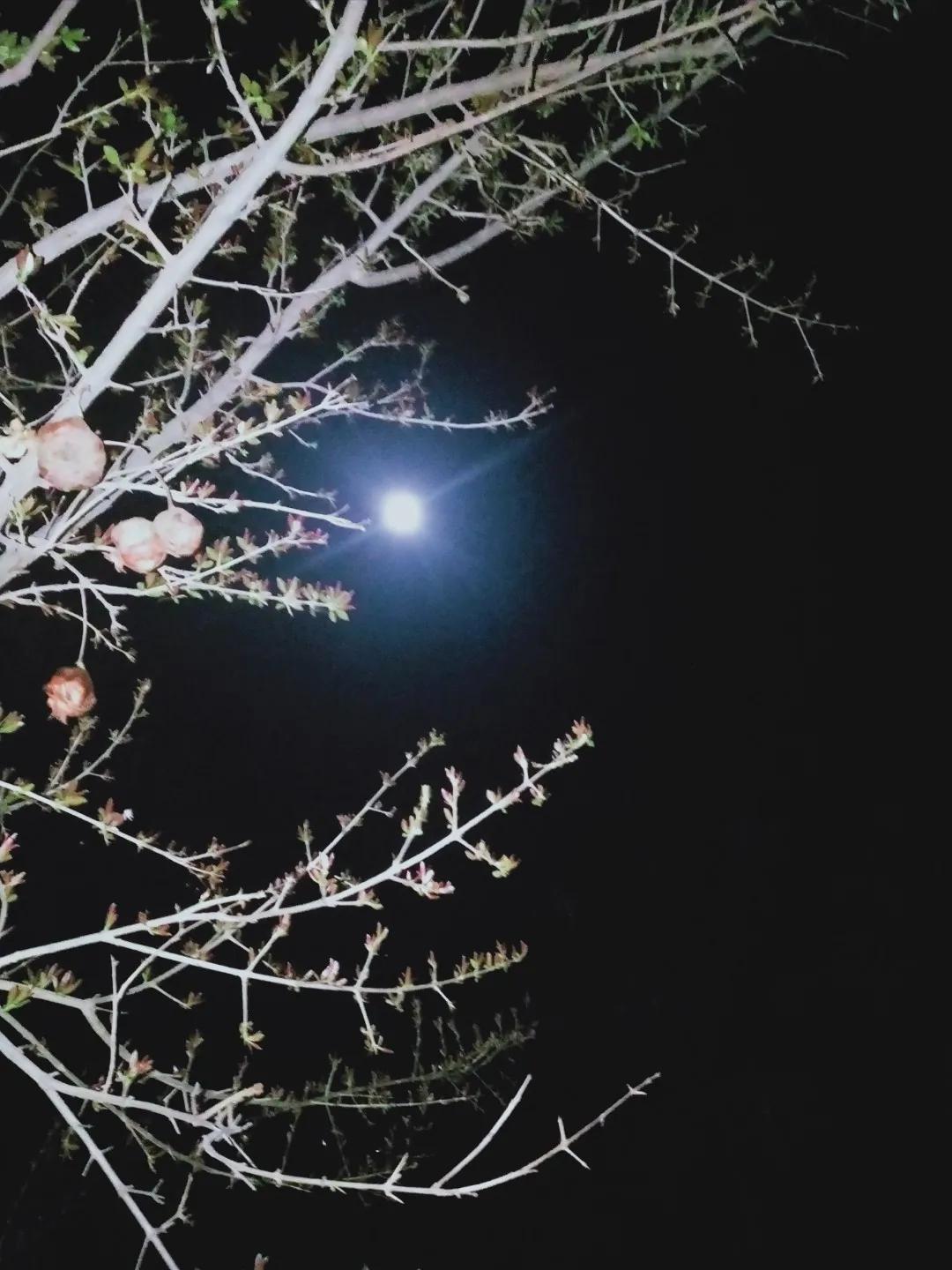 安阳县安丰乡东稻田,安丰乡东稻田