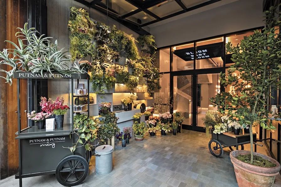 新探纽约轻快韵律