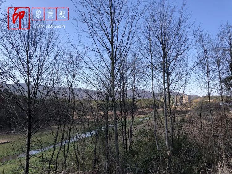 围城里的篱笆,围城里的小镇