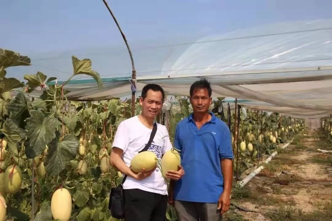 350万粉丝追随，企业被称为“云集第二”，这个男人不一般