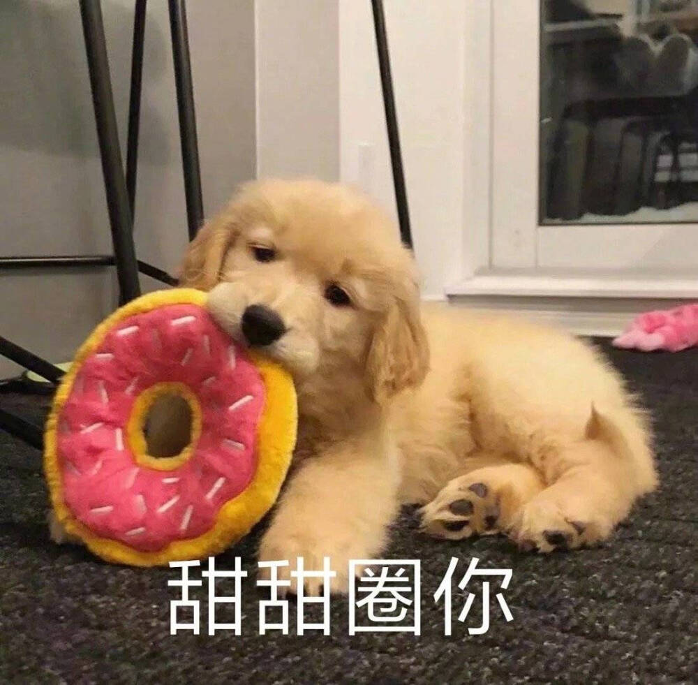 表情包大全可爱简单,可爱表情包我就是个不争气的东西