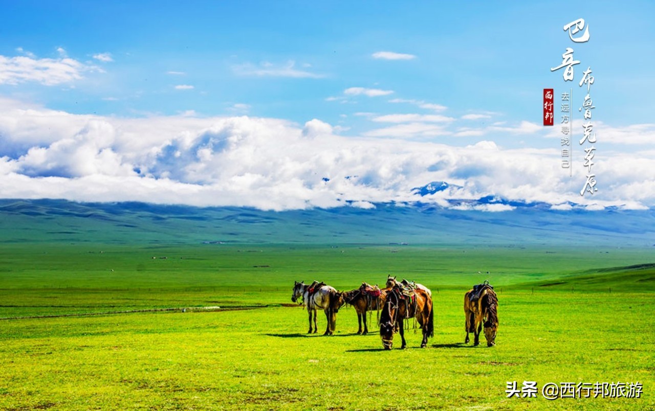 哼，又想「骗」我去*疆新**旅游！