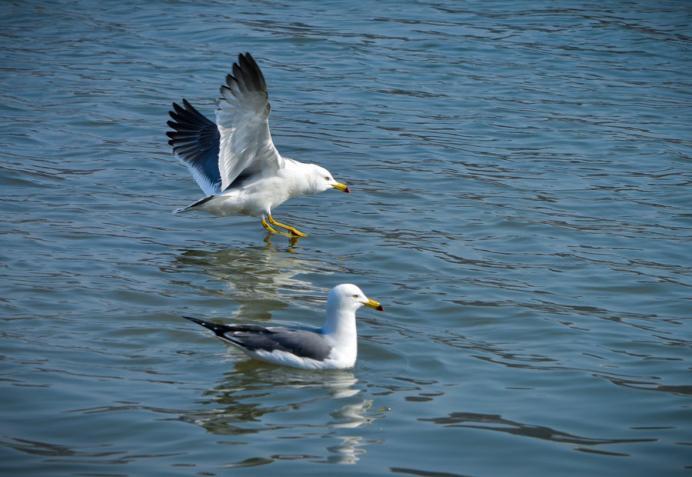 什么样的反渗透净水器好,大品牌反渗透净水器用什么牌子好