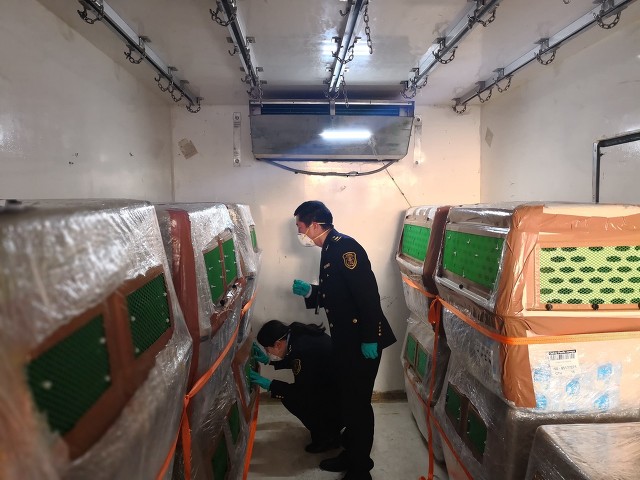 货运司机行业怎么样,新手入行货运行业怎么样