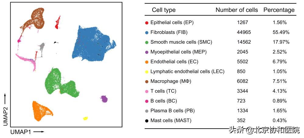 北京协和医院妇科朱兰视频,北京协和医院妇科专家朱兰