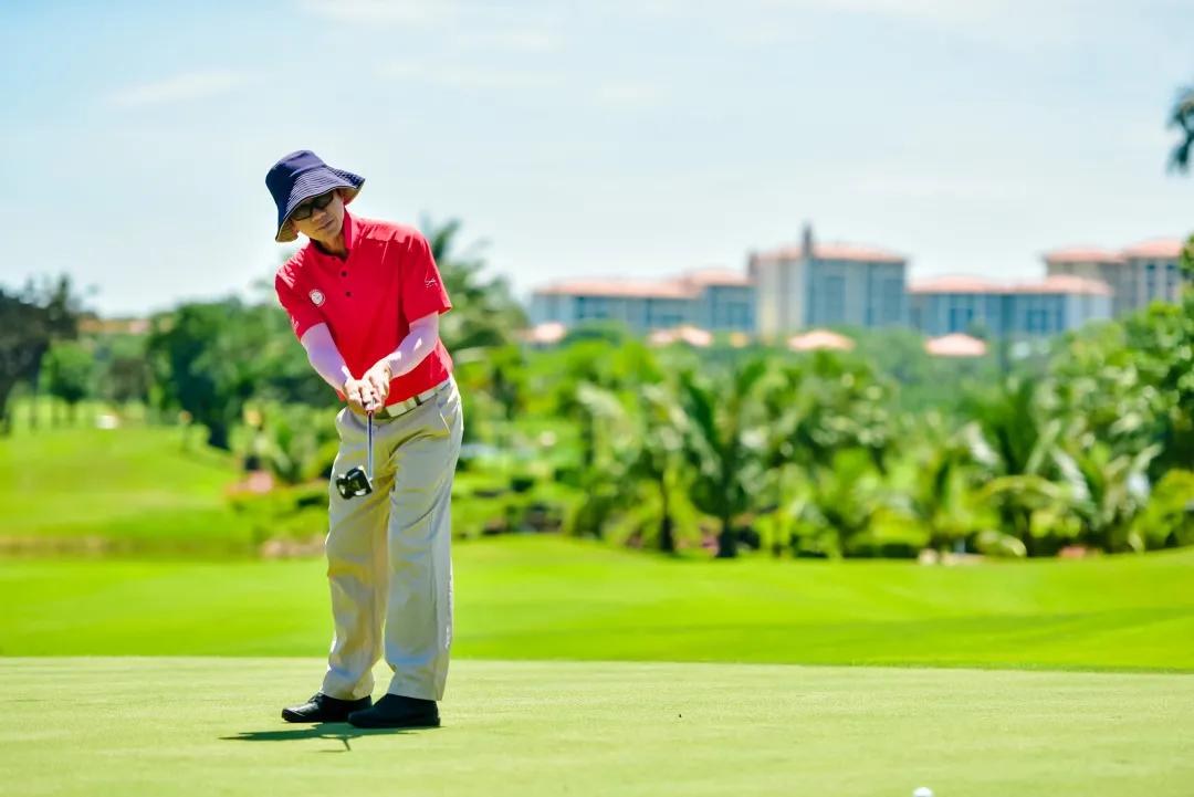 海狼队,海狼队加入三只羊了吗