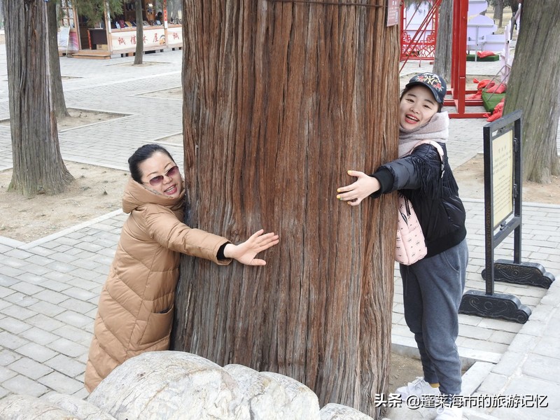 向经典致敬向传统致敬,向经典致敬弘扬传统文化