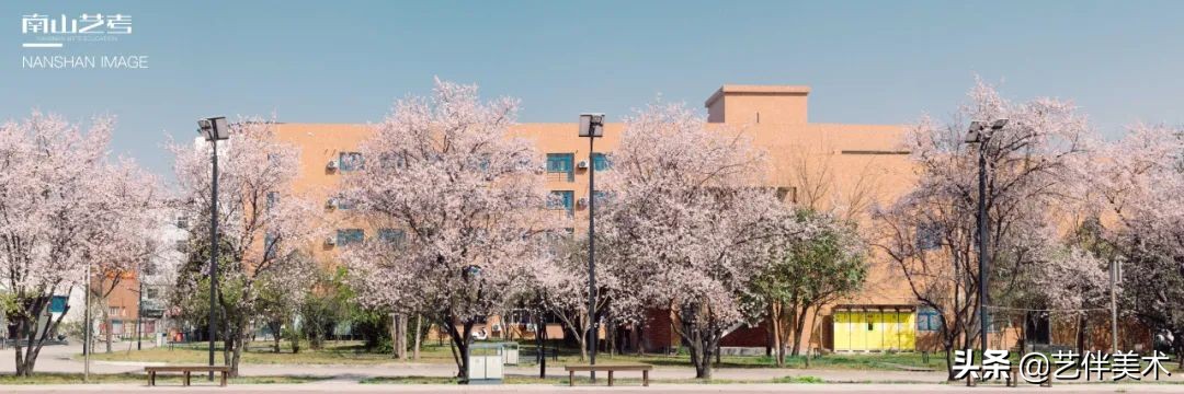 南山艺考画室怎么样收费,西安南山艺考画室官方账号