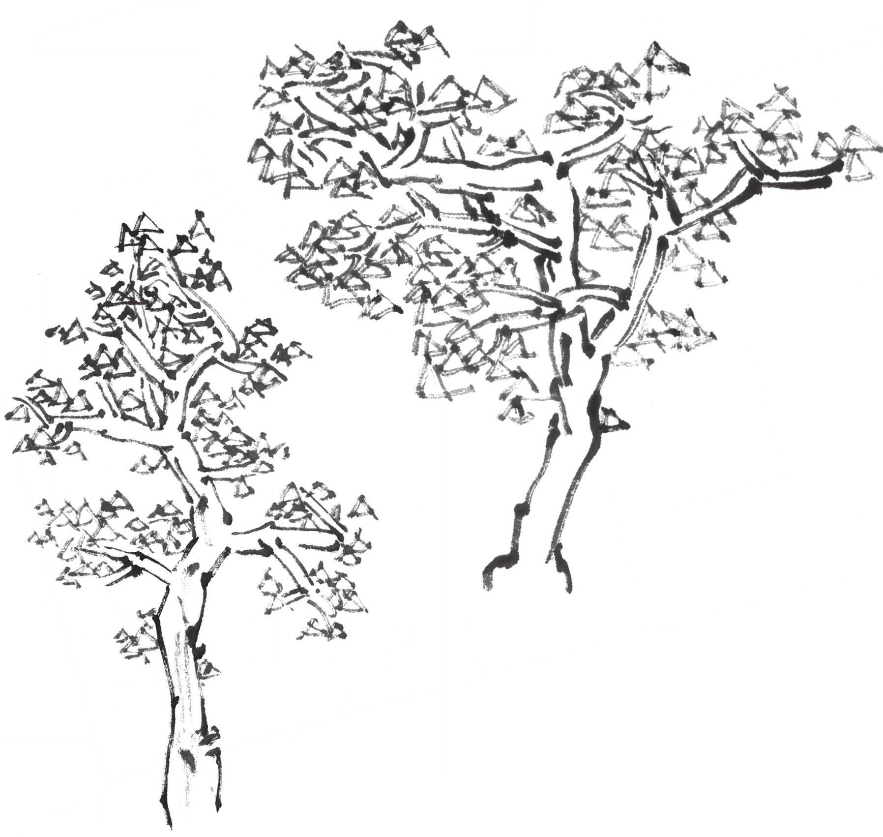 树画简单初学者教程,树画不好看了怎么改