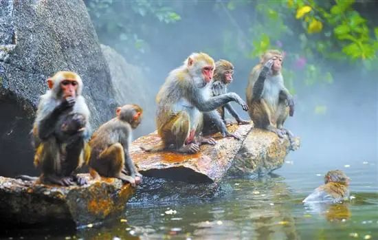 海南自驾游最佳路线攻略最新,成都到海南自驾游攻略及费用