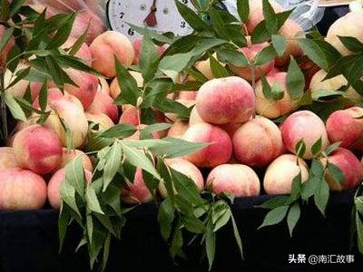 大南汇，永远310225，119，所有回不去的日子都有道理