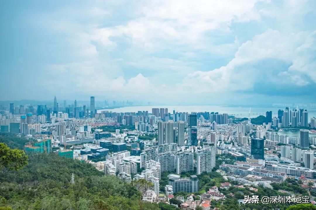 深圳经济特区民生建设,深圳经济发展方向南山区