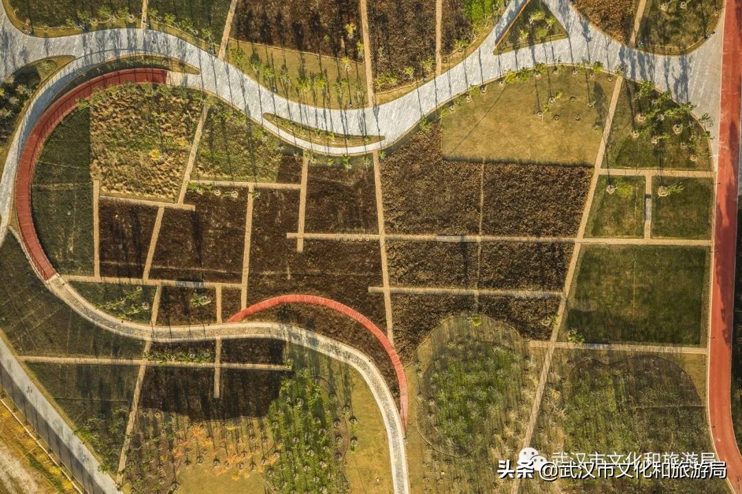 武汉长江二桥江滩公园,武汉杨泗港长江大桥篮球公园