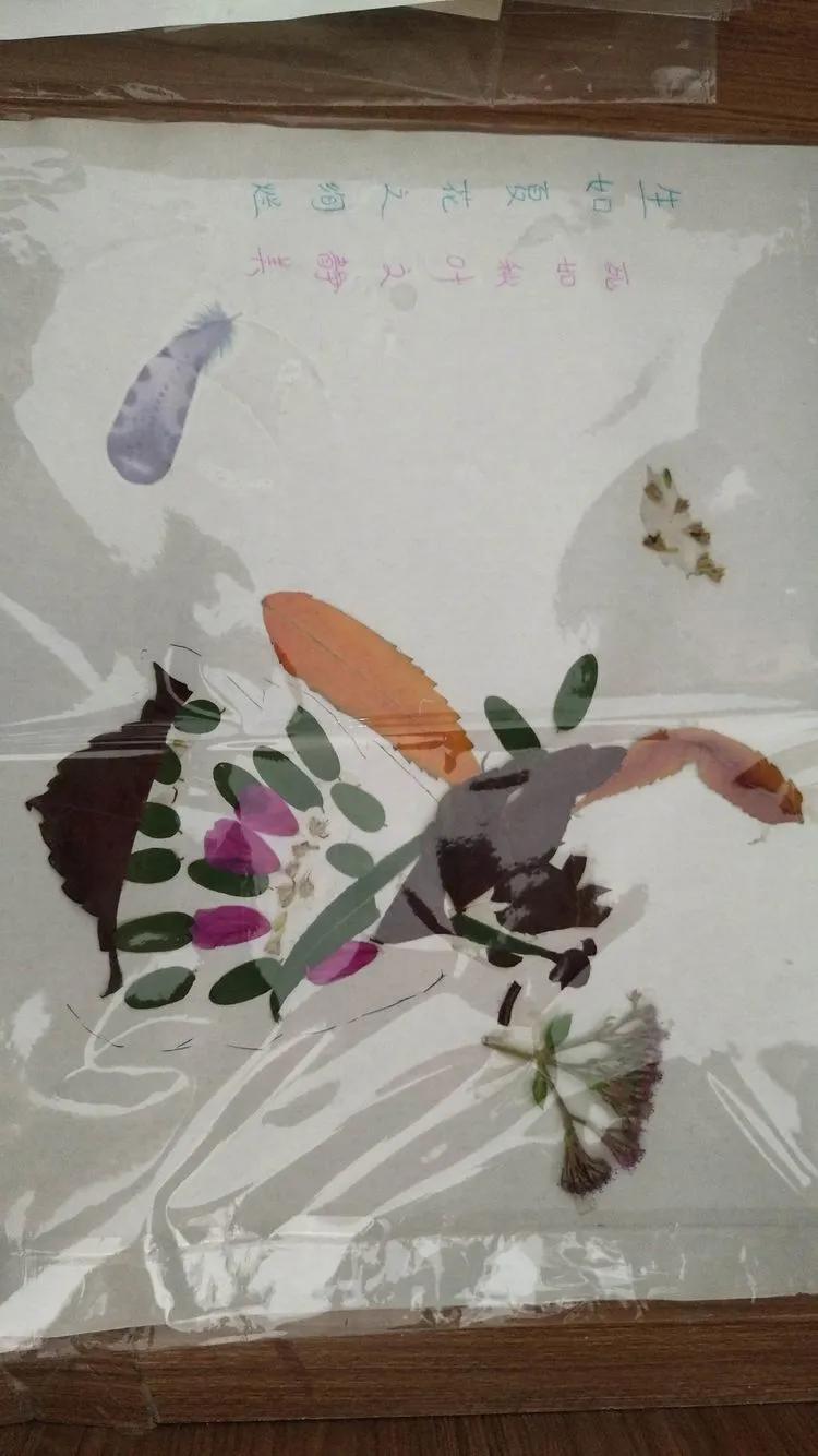 育才中学美丽校园,阜新市育才中学照片