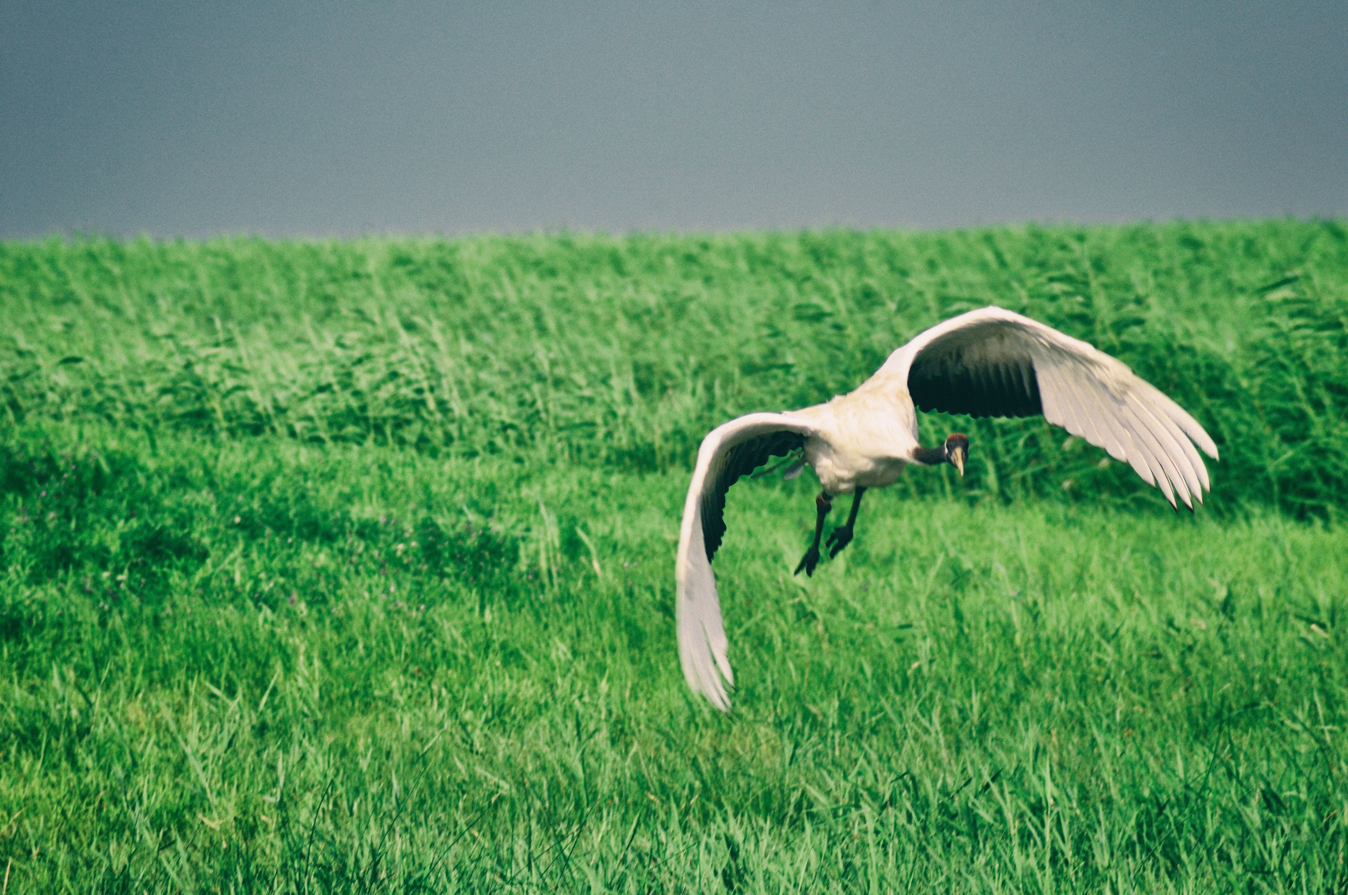 东北边疆,东北行游记2019