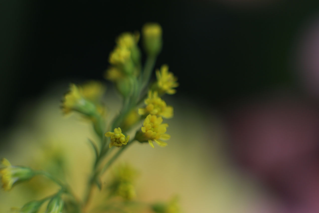 每日积累100个成语故事讲给孩子听,小学生必读成语故事的内容