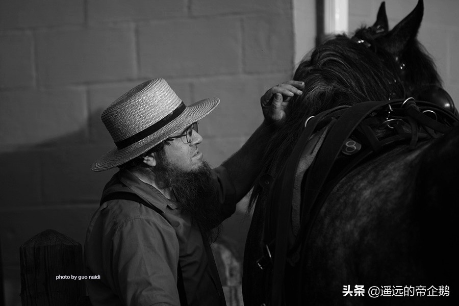 兰卡斯特宾夕法尼亚,兰卡斯特大学lancaster