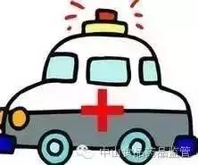 广东人用来煲汤的一种植物,广东煲汤料有哪些植物