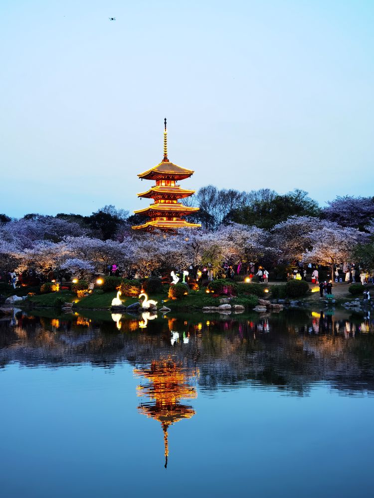 鑻遍泟褰掓潵妯辫姳鏈夌害,妯辫姳鐩涘紑鑻遍泟褰掓潵瀹屾暣瑙嗛