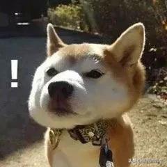 微信更新了后悔了怎么办,微信更新这些功能挺实用