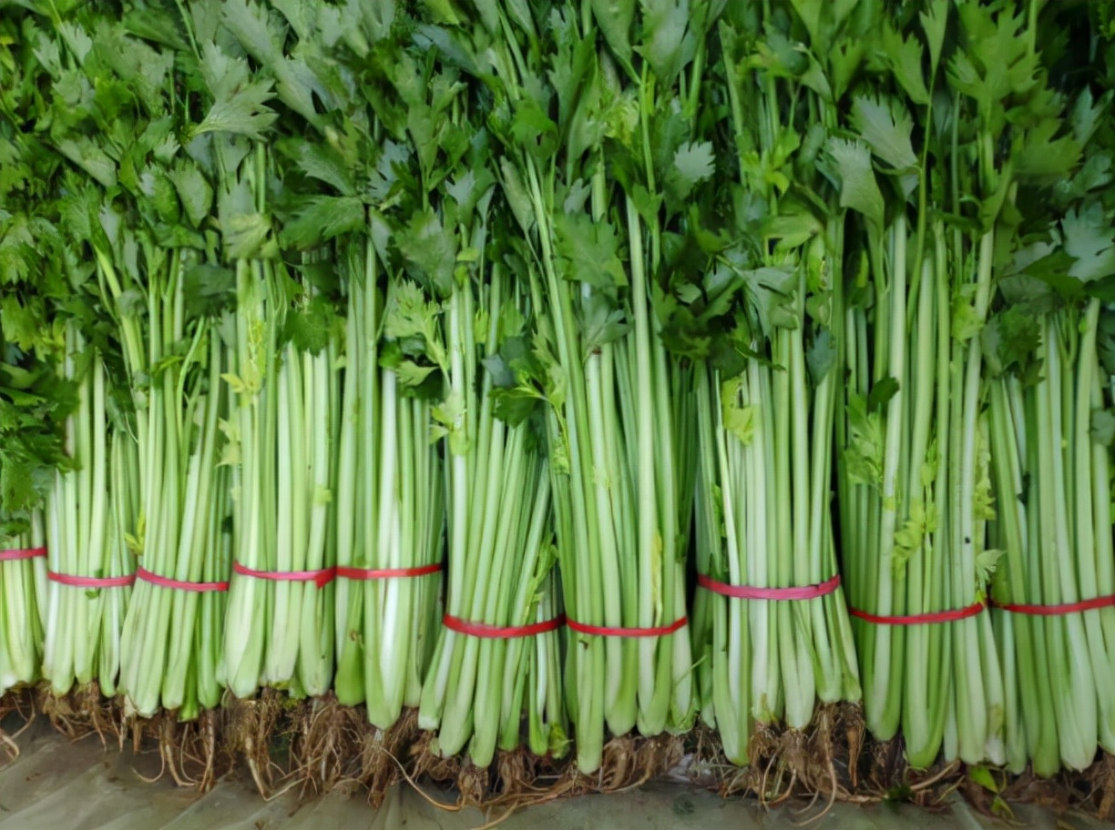 阿莫西林是不是消炎药中最好的,阿莫西林是消炎药吗可以经常吃吗