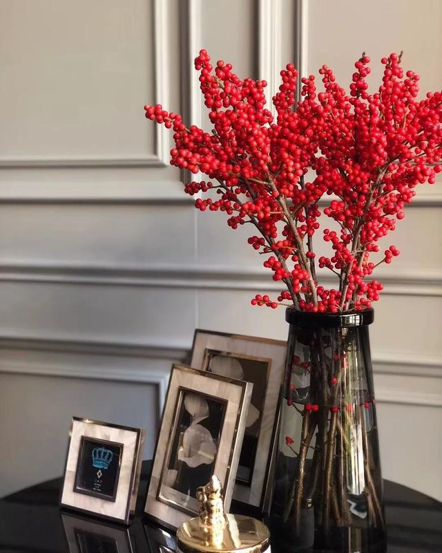 什么品种的冬青树比较好,北美冬青红遍中国