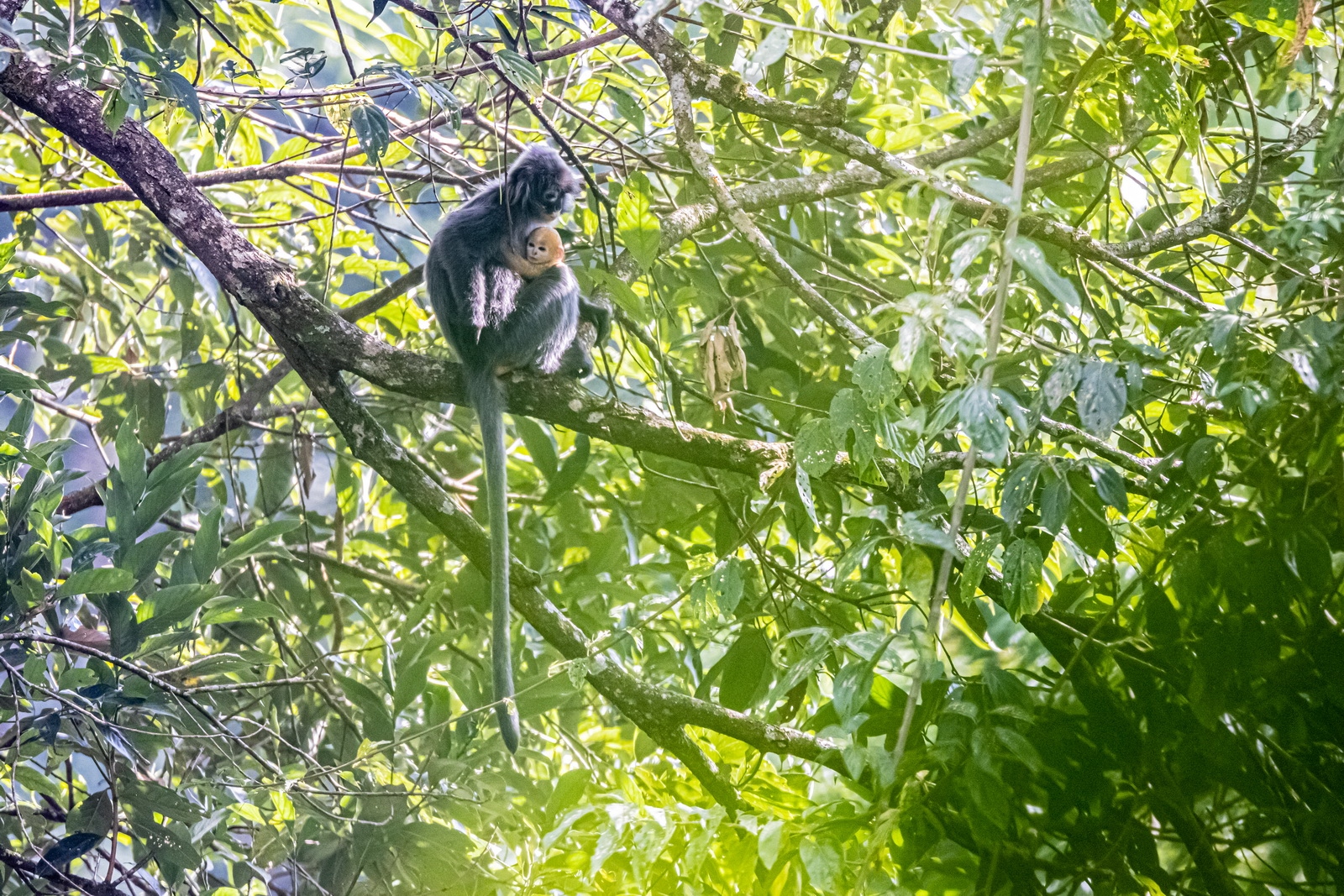如何用eosr5拍摄视频,eosr5摄影