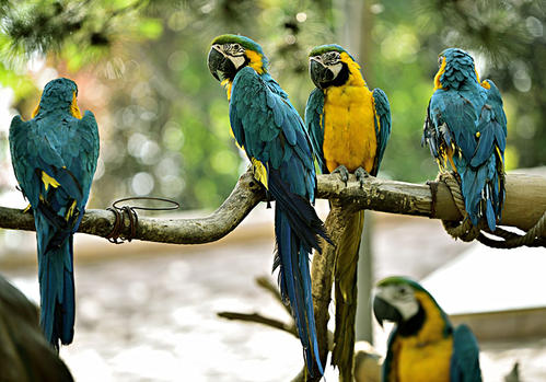 动物园附近周末去哪玩,周末两天亲子游好去处动物园