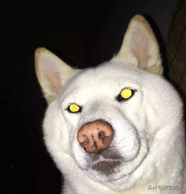 兼职打字员有哪些猫腻,打字兼职到底是什么