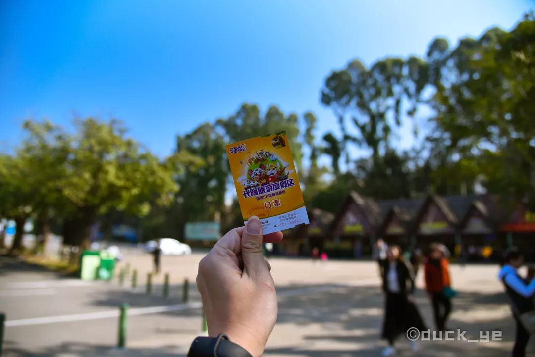 去广州长隆野生动物世界学到什么,5.1广州长隆野生动物攻略