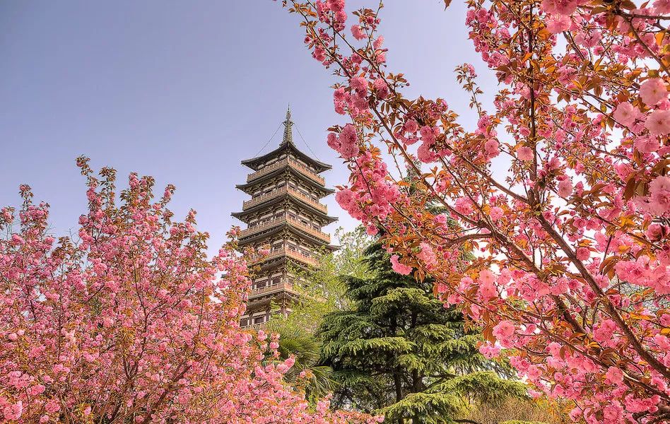 三月机票特价旅游地,3月份从成都出发机票白菜价