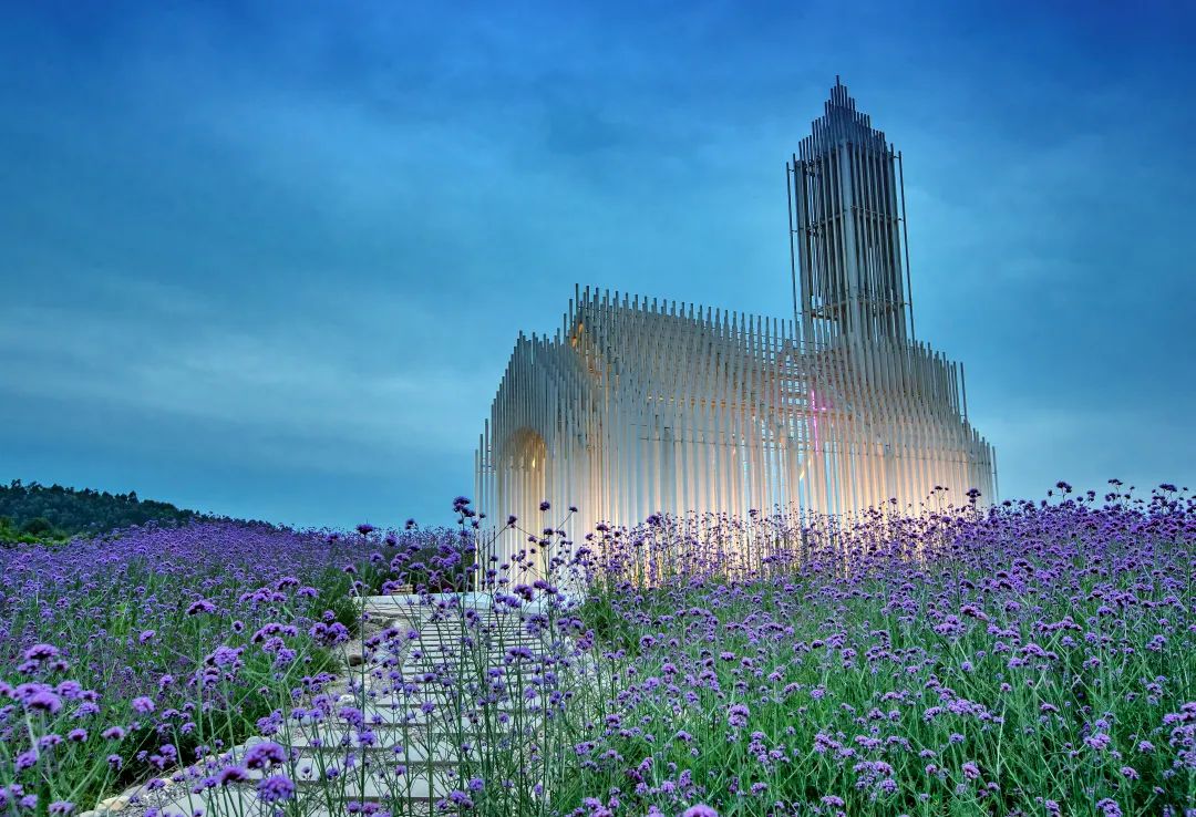 多彩新区,你pick谁?