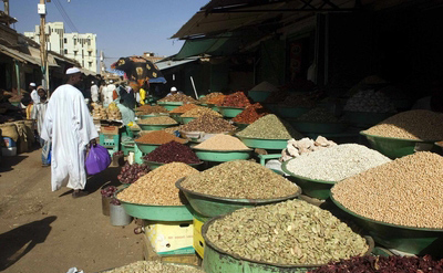 选择非洲，可以从事什么工作？