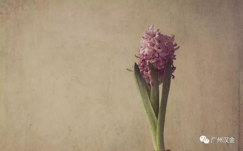 草本健康护理卫生巾使用方法,舒绮卫生巾