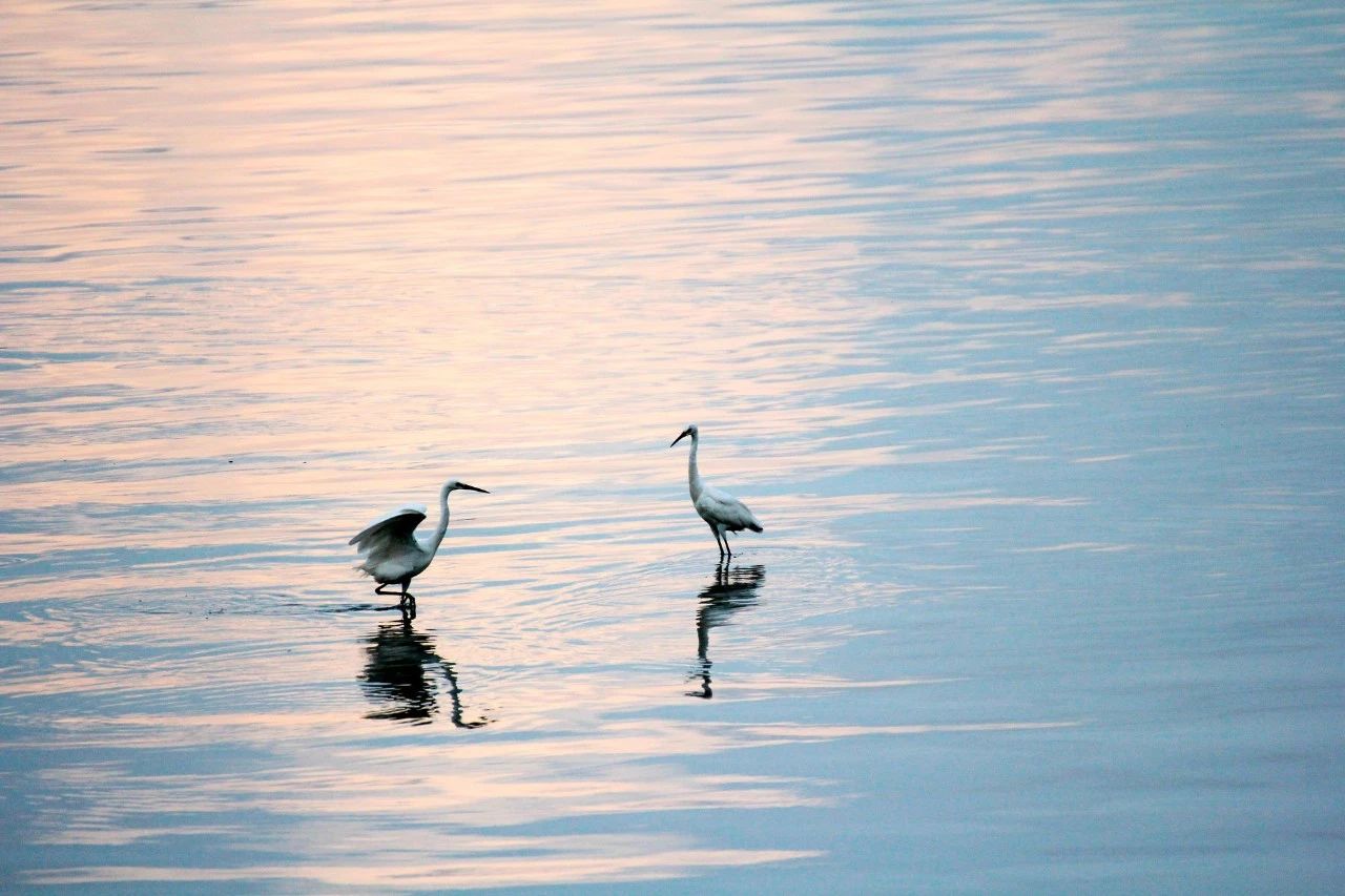 27首经典古诗,27首经典古诗词一开头就让人惊艳