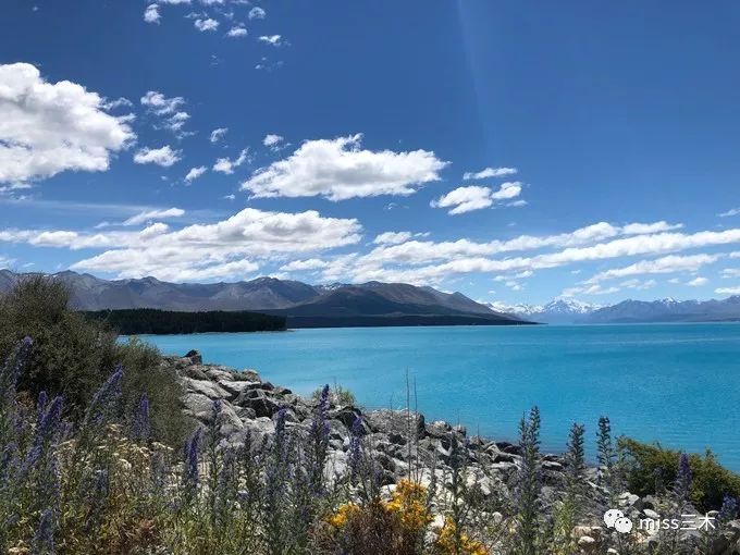 新西兰自驾游需要注意什么,新西兰自驾游要带什么东西