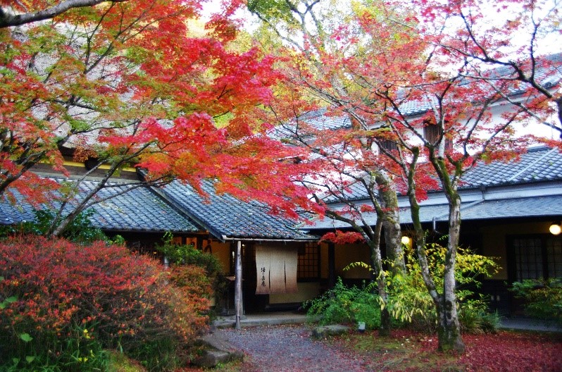 赴日旅游有什么费用,赴日旅游将更贵