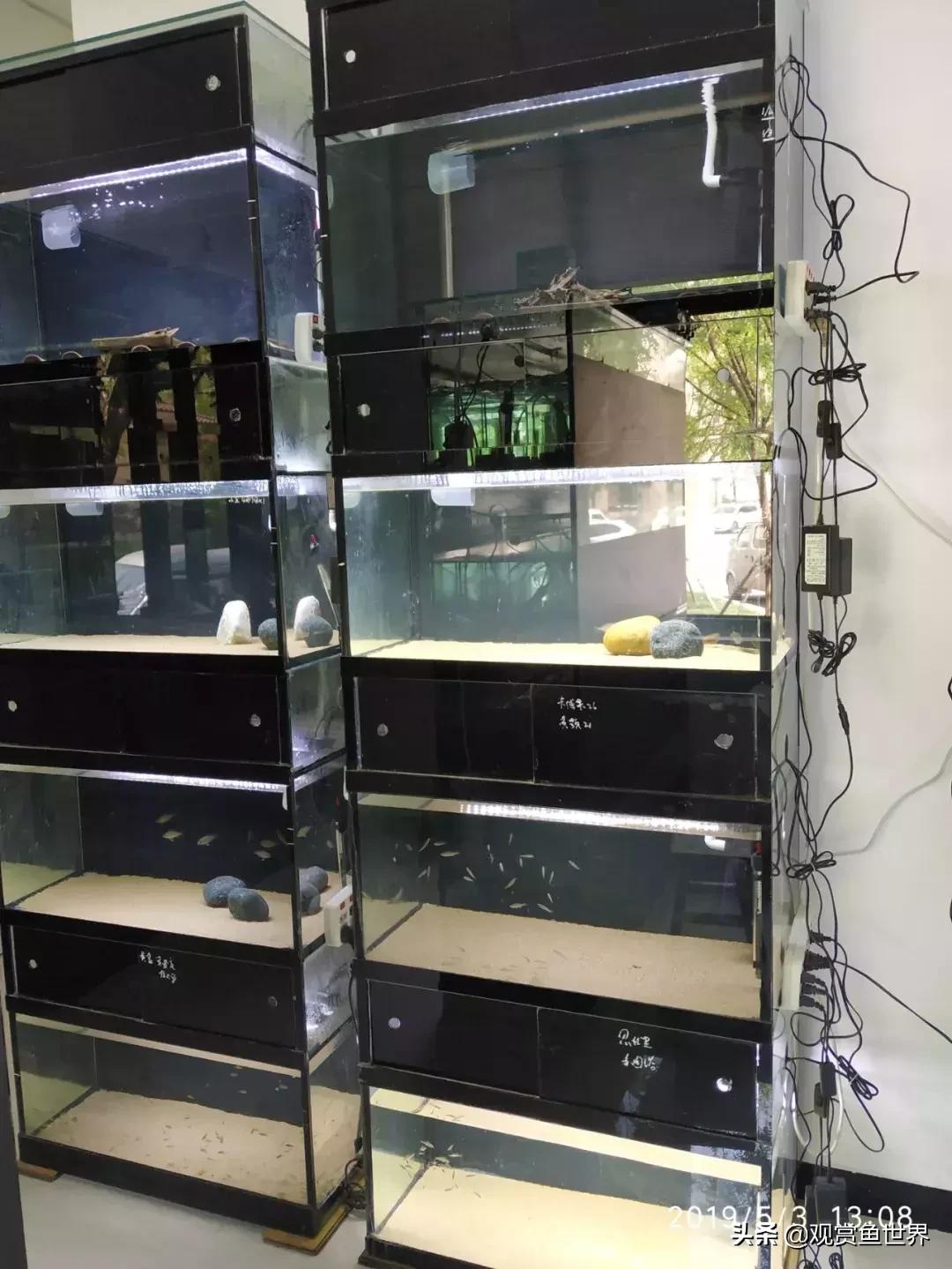 梦想的三湖世界持续建设中……方位:中国天津