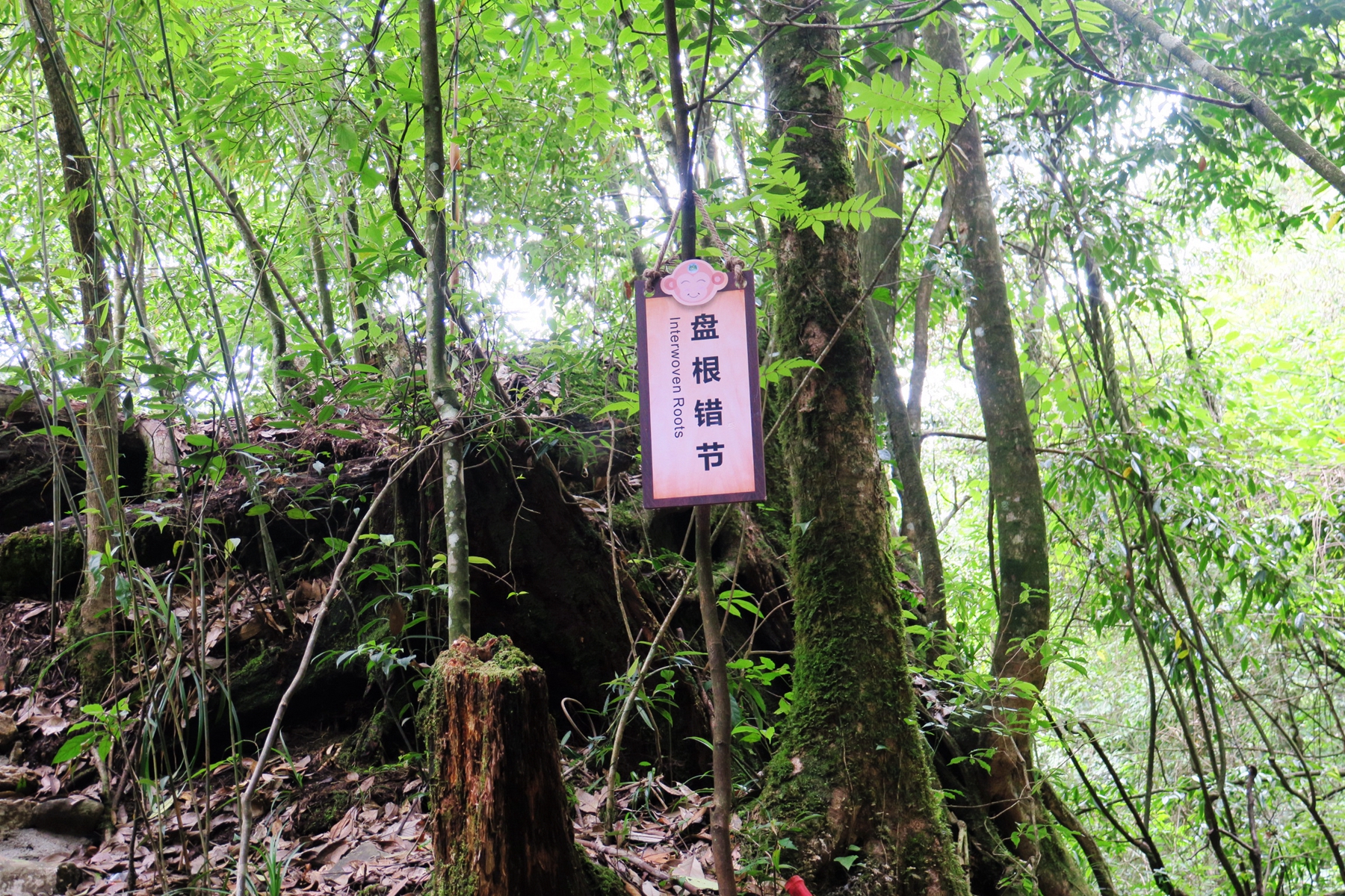 猴山飞瀑,猴山飞瀑旅游区地图